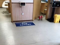 -宠颐生宠物医院·心肾内科·猫专科诊疗中心宠巢店