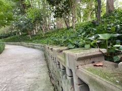 -青枫公园