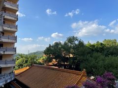 -深圳仙湖植物园