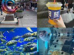 -日照海滨国家森林公园