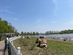 -长春市南湖公园