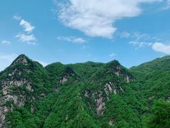 -沣峪口