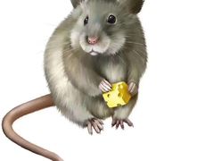 -哈尼糖果量贩式KTV