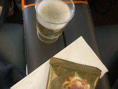 -新加坡航空公司(ION)