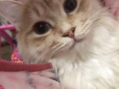 -宠颐生中康贝怡动物医院