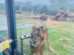 -西霞口神雕山野生动物世界