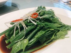 佛手瓜尖-马旺子酒楼