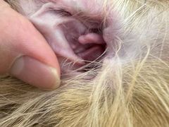 -comecome来吧宠物(奥克斯中心店)