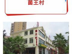 -野生菌火锅(菌王村店)