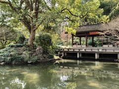 -杭州植物园
