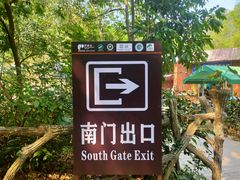 -野象谷景区