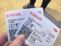 -鹏欣水游城