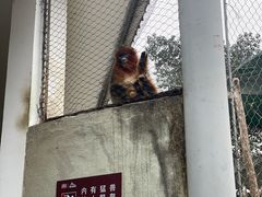 -杭州野生动物世界