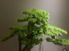 -耳域躺式采耳SPA馆(新街口店)