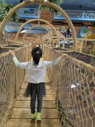 -卡通尼·Safari非洲探索乐园·生日会(金桥国际商业广场店)