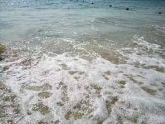 -三亚亚龙湾万豪度假酒店
