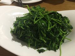-菩提树·素食餐厅(汇智国际商业中心店)
