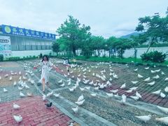 -飞来湖湿地公园