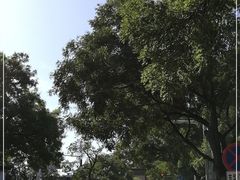 -东华门大街小区