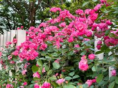 -玄武湖景区-情侣园游乐场