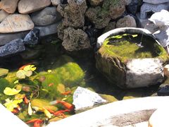 -天正河鲀·河豚亭(大连店)