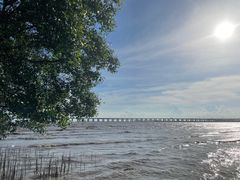 -宝安西湾红树林湿地公园