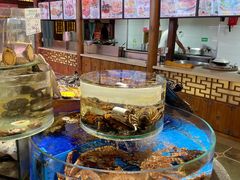 景观位-乔家小院•非遗驴肉•本地小海鲜(滨河路店)