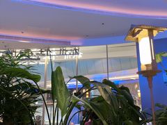 -桂满陇·蟹黄小笼汤包(清河万象店)