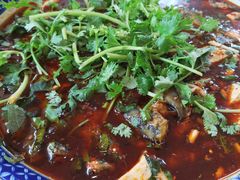 -胖大姐黄辣丁鱼庄(新津店)