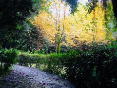 -重庆平顶山公园