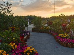 -福田红树林生态公园