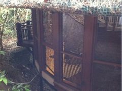 孔雀区-三亚亚龙湾人间天堂鸟巢度假村