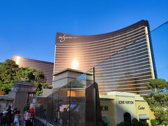 -拉斯维加斯永利酒店