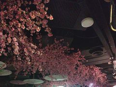 -韵秋荷(宝山龙湖天街店)