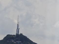 -西湖外事游船(花港观鱼码头)