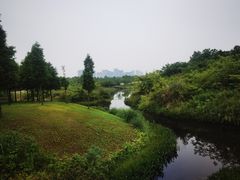 -眉山湿地公园(东坡区)