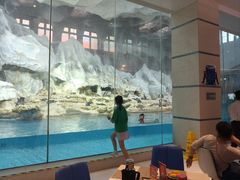 -帝企鹅自助餐厅•儿童岛•真企鹅(长隆企鹅酒店)