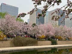 -海棠花溪(元大都城垣遗址公园)
