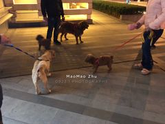-中海环宇荟