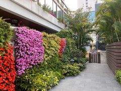 -白天鹅宾馆-健身中心