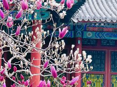 -颐和园