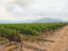 -玉流珍肴馆(亮马桥店)