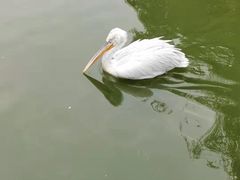 -无锡动物园·太湖欢乐园