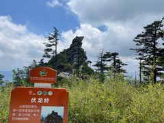 -朱雀国家森林公园