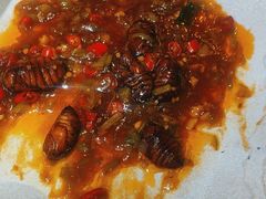 -小俩口烧烤东北菜(双井店)