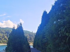 -武陵山森林公园