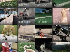 -趣玩宠物乐园寄养训犬训狗游泳池