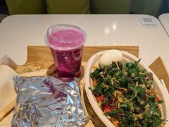 -油梨树 AVOCADO TREE(亮马桥店)