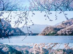 -沉浸北京·团建旅行·密室剧本杀·年会会议轰趴拓展