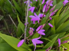 -上海交通大学(闵行校区)